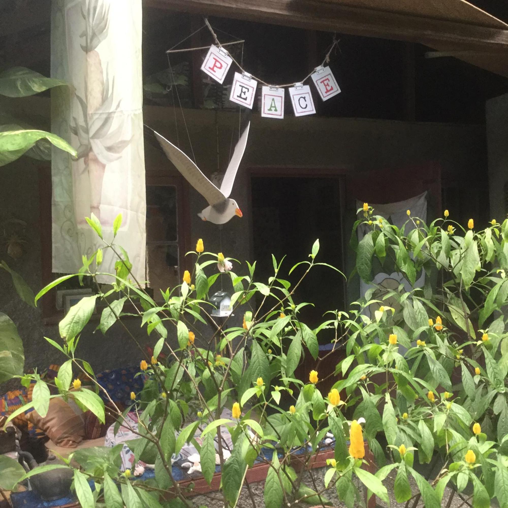 קינגסטון Dustry Cottages מראה חיצוני תמונה