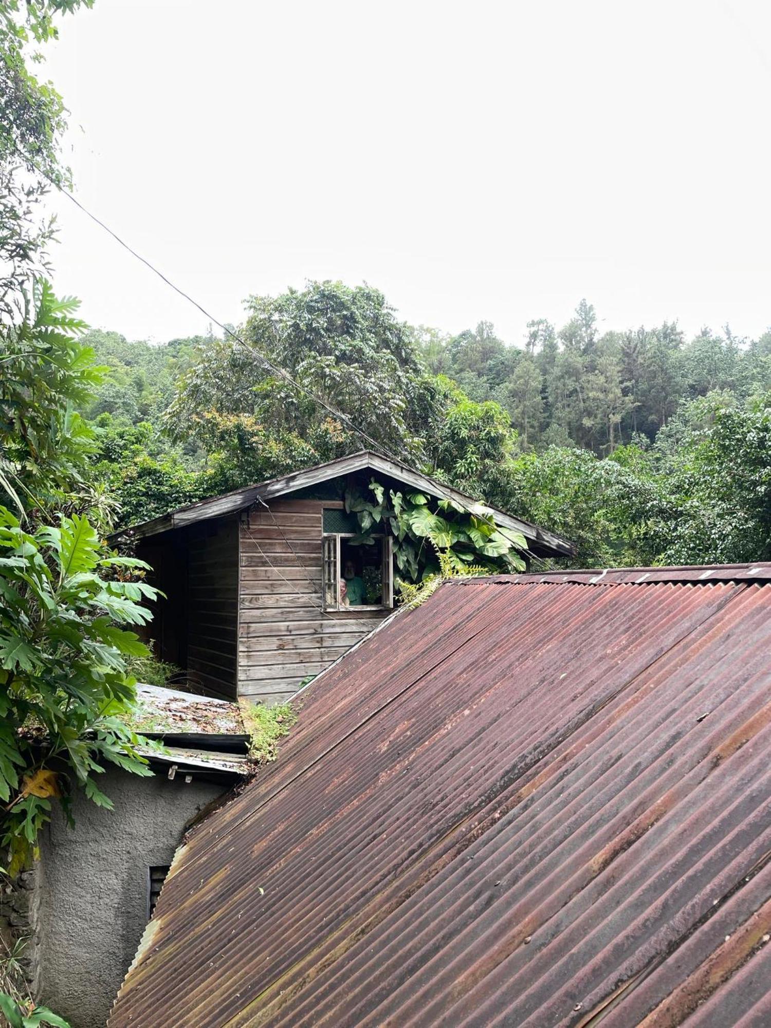 קינגסטון Dustry Cottages מראה חיצוני תמונה